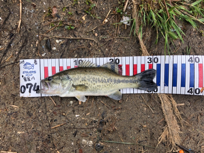 令和バス釣り！