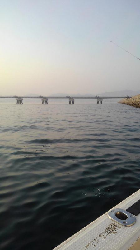 ロックフィッシュショート便