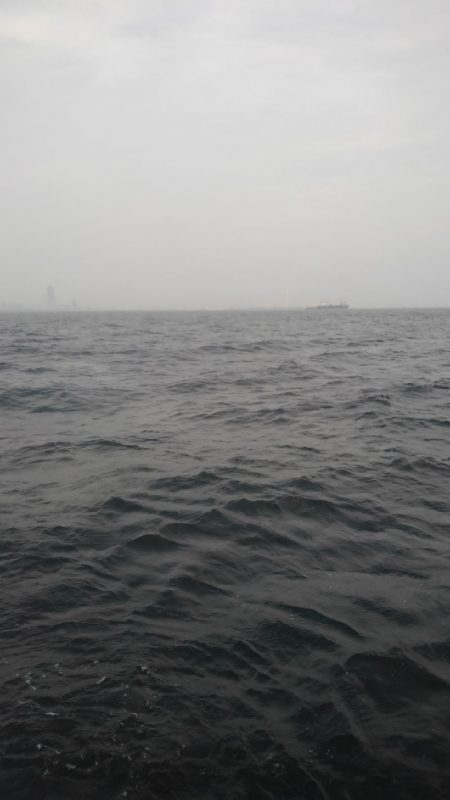 ロックフィッシュショート便参戦‼️