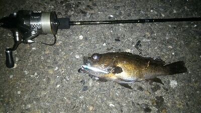 ベイトよりちょい下のレンジ