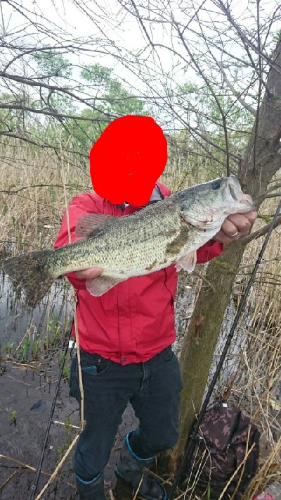 ハイプレッシャー