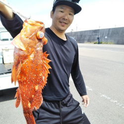 船・ジギング釣り果