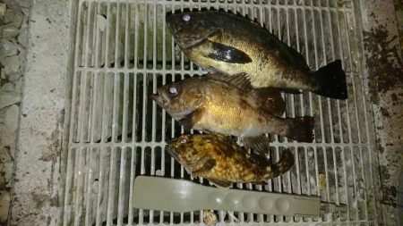 いつのと違うパターンで挑戦