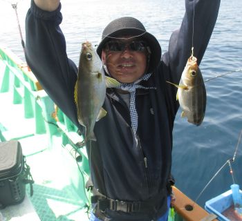 土佐安芸のハマちゃんの釣果