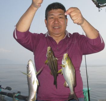 土佐安芸のハマちゃんの釣果