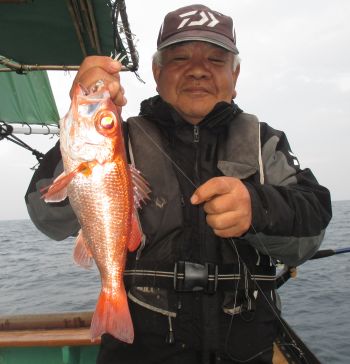 土佐安芸のハマちゃんの釣果