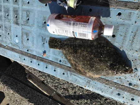 三角テトラ遠投でカレイ