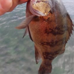 地合は一瞬で・・・