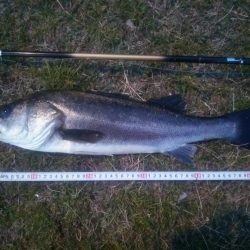 短時間にて　~初物~