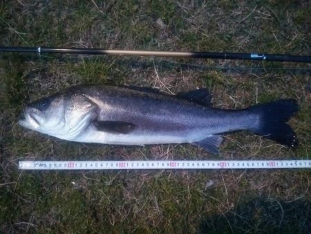 短時間にて　~初物~