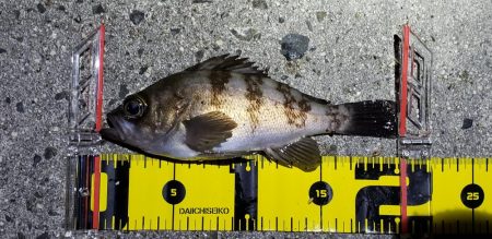 家族旅行のついでに