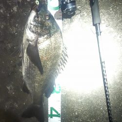 そろそろバチ抜け?