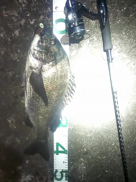 そろそろバチ抜け？