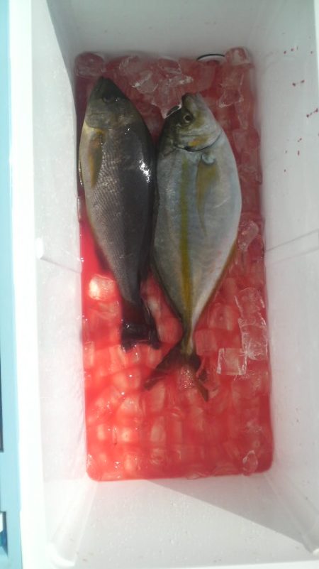 優しい方々に感謝です。