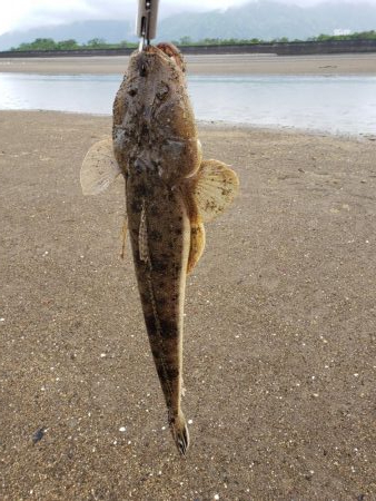 いつもの場所で