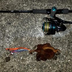 高知愛南遠征2日目