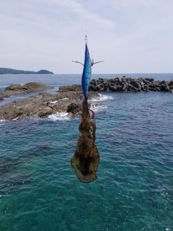 チビばっかり、、