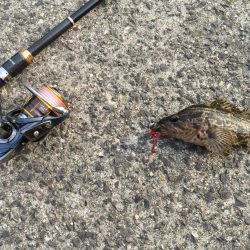 出張先の楽しみ②