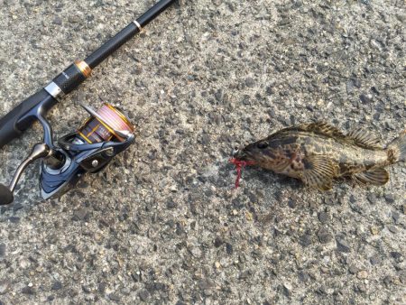 出張先の楽しみ②