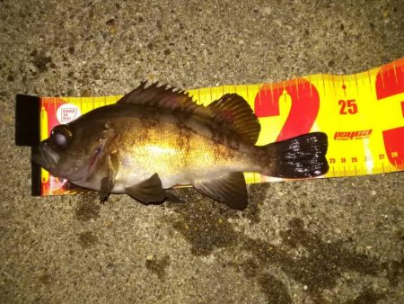 潮が動き始めたら・・・