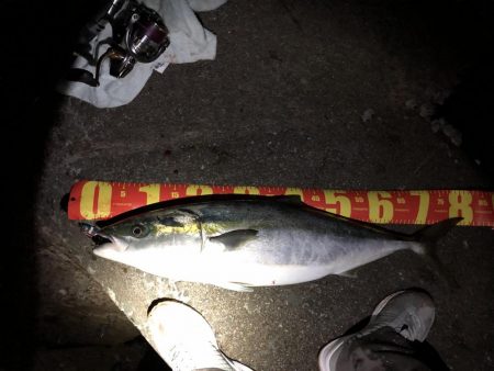 ついに波止から初ブリ‼&#x…