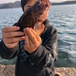 暖かい釣り日和