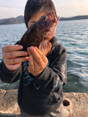 暖かい釣り日和