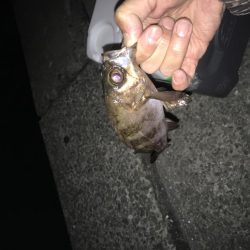 ジグヘッド青虫