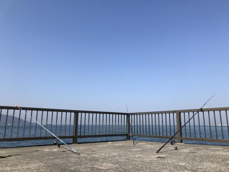 花見カレイ前線  1分咲き