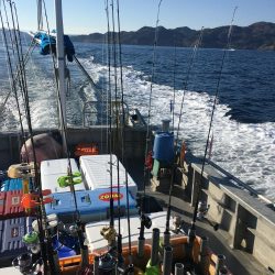 初日本海ジギング