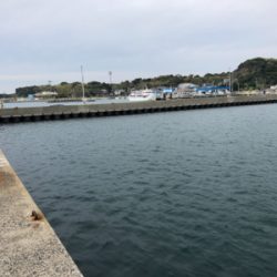 DAYでシーバス？