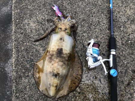 帰省釣行（津奈木町）