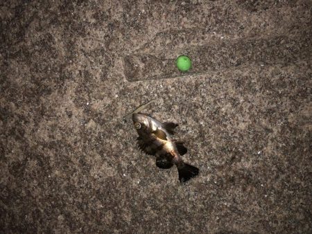 当たりはあるけど、、、