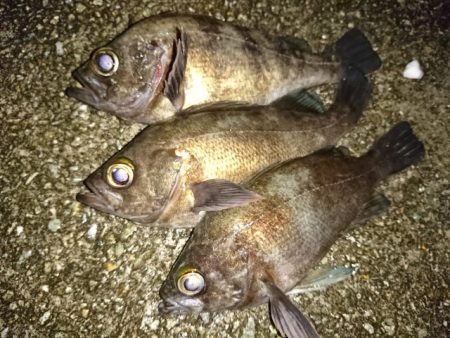 サーフメバリング