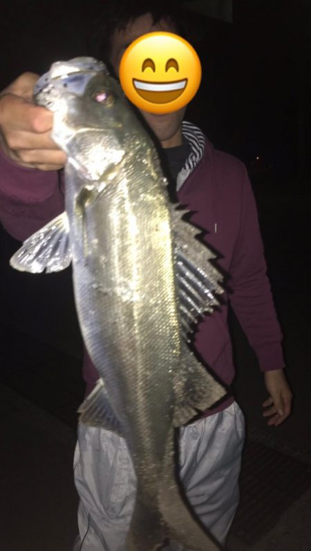 敦賀バチ抜けシーバス