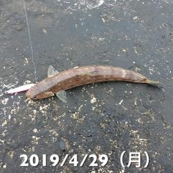 日の出と共に…