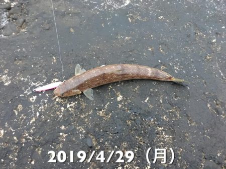 日の出と共に…