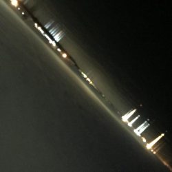 アジングのはずがガッシング(笑)