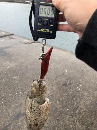 雨と風の中なんとか一杯