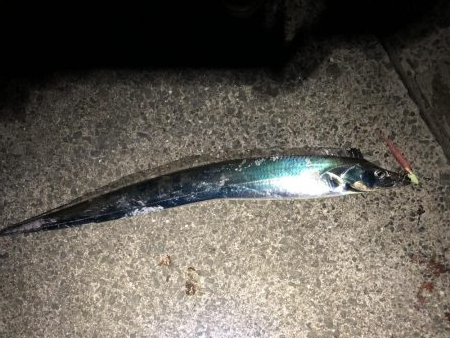 平成最後の太刀