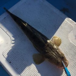 ボートでタイラバ