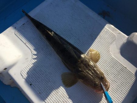 ボートでタイラバ