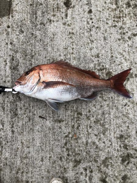 ショアジギング