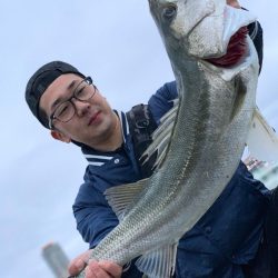 モンスターシーバス