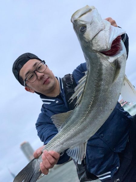 モンスターシーバス