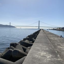 タルイチオールナイトメバリング