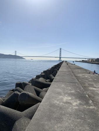 タルイチオールナイトメバリング