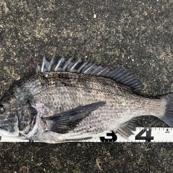 イチノ兄弟、釣果！