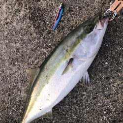 平成最後の釣り