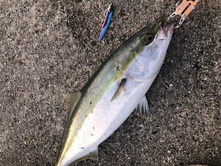 平成最後の釣り